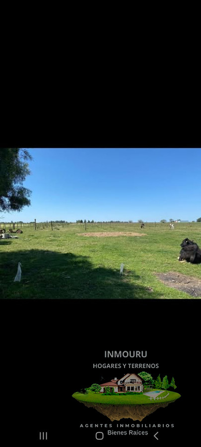 Casa ID.451 - Alquiler de casa en Canelones con 4 hectareas de campo