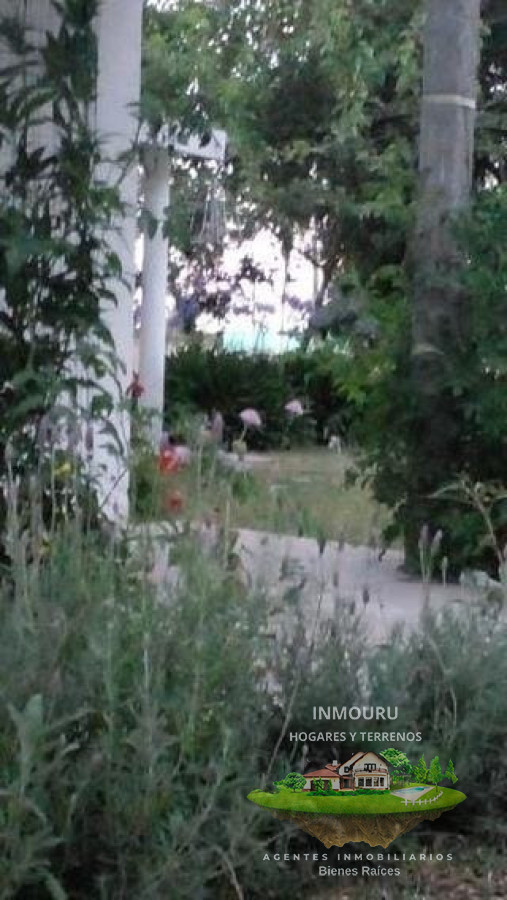 Chacra ID.2197 - VENTA de chacra de 5 Hectáreas en CANELON CHICO