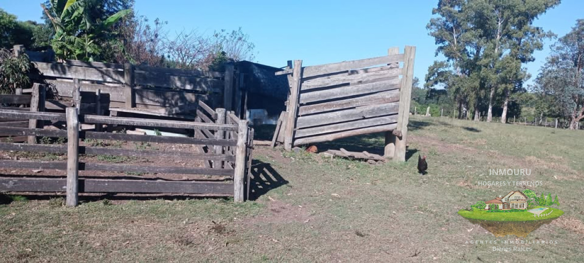 Chacra ID.1551 - Venta de chacra con casa en Paysandú