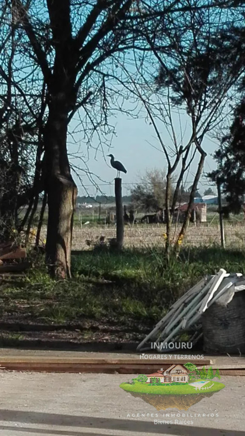 Chacra ID.2197 - VENTA de chacra de 5 Hectáreas en CANELON CHICO