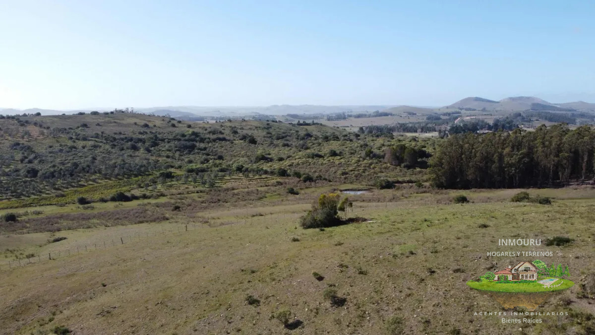 Chacra ID.838 - VENTA de hermosa chacra en LAVALLEJA (Minas)