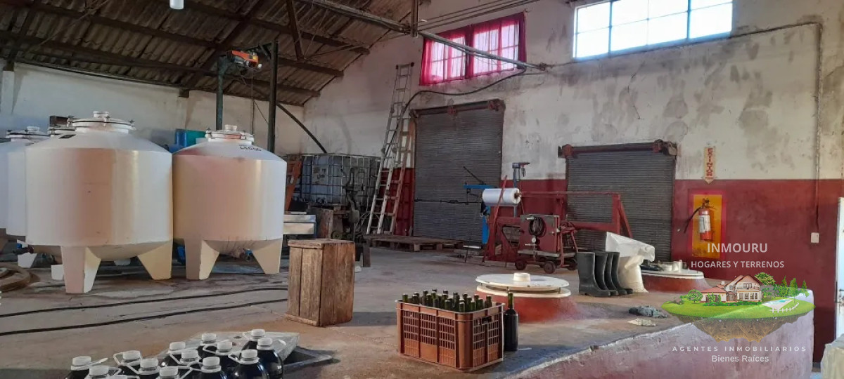 Chacra ID.1841 - VENTA de VIÑEDO Y CASAS con BODEGA en TOLEDO CHICO