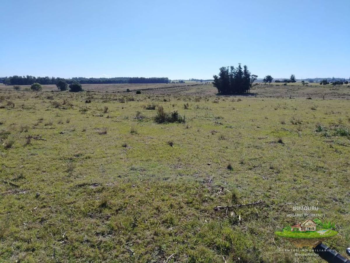 Chacra ID.1197 - Venta de chacras en inmediaciones de San Carlos, Maldonado