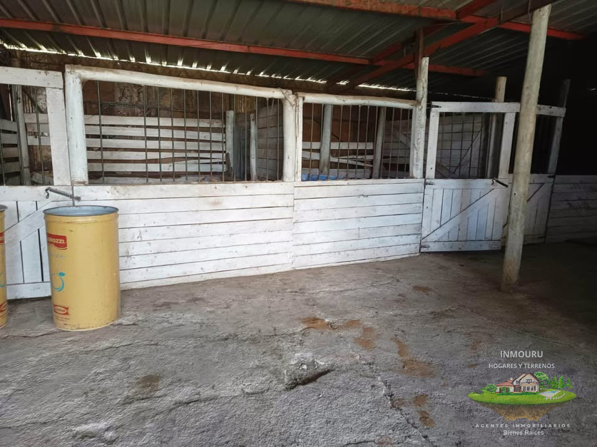 Chacra ID.1727 - Venta de Hermosa Chacra en Estación Piedras de Afilar