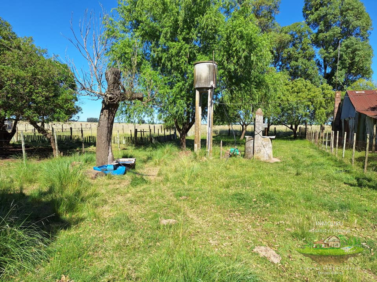 Chacra ID.180 - VENTA de campo en MINAS (Lavalleja)