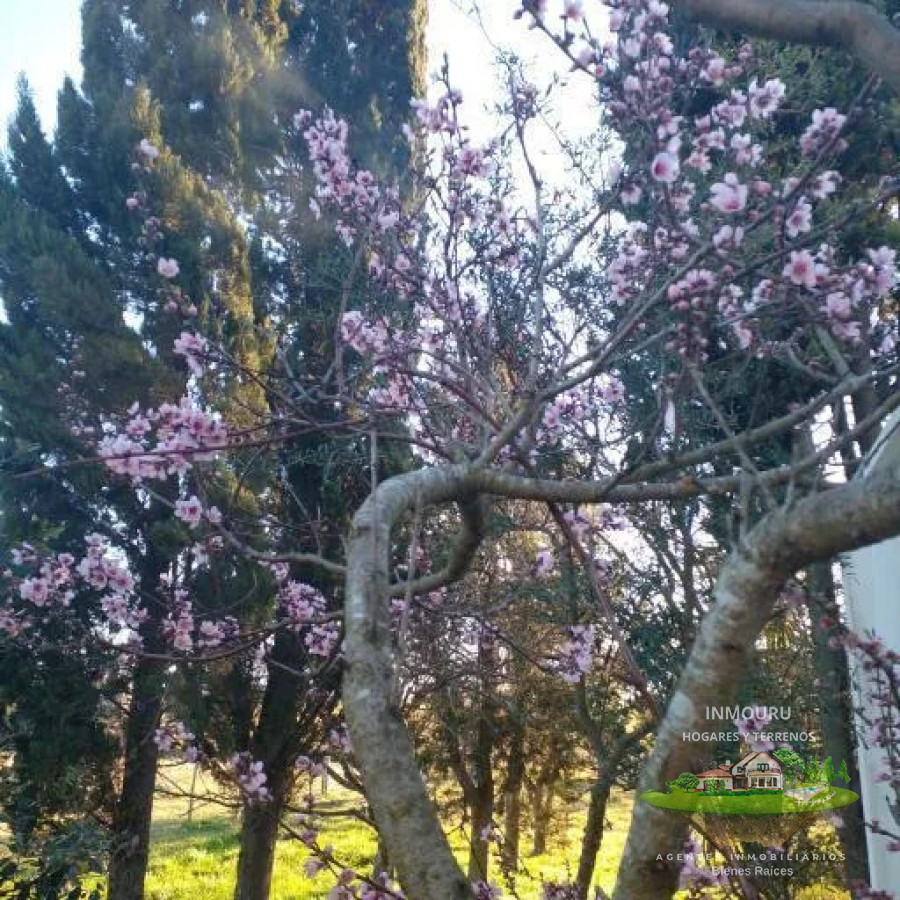 Chacra ID.2197 - VENTA de chacra de 5 Hectáreas en CANELON CHICO