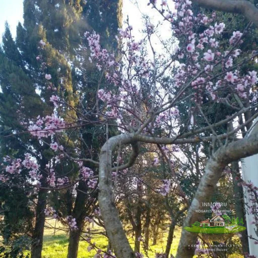 Chacra ID.2197 - VENTA de chacra de 5 Hectáreas en CANELON CHICO