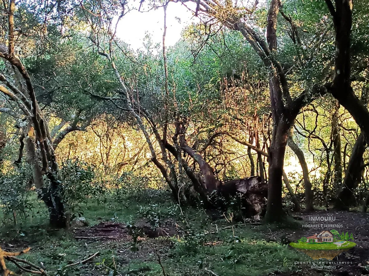 Chacra ID.1287 - Venta de chacra en Pueblo Edén