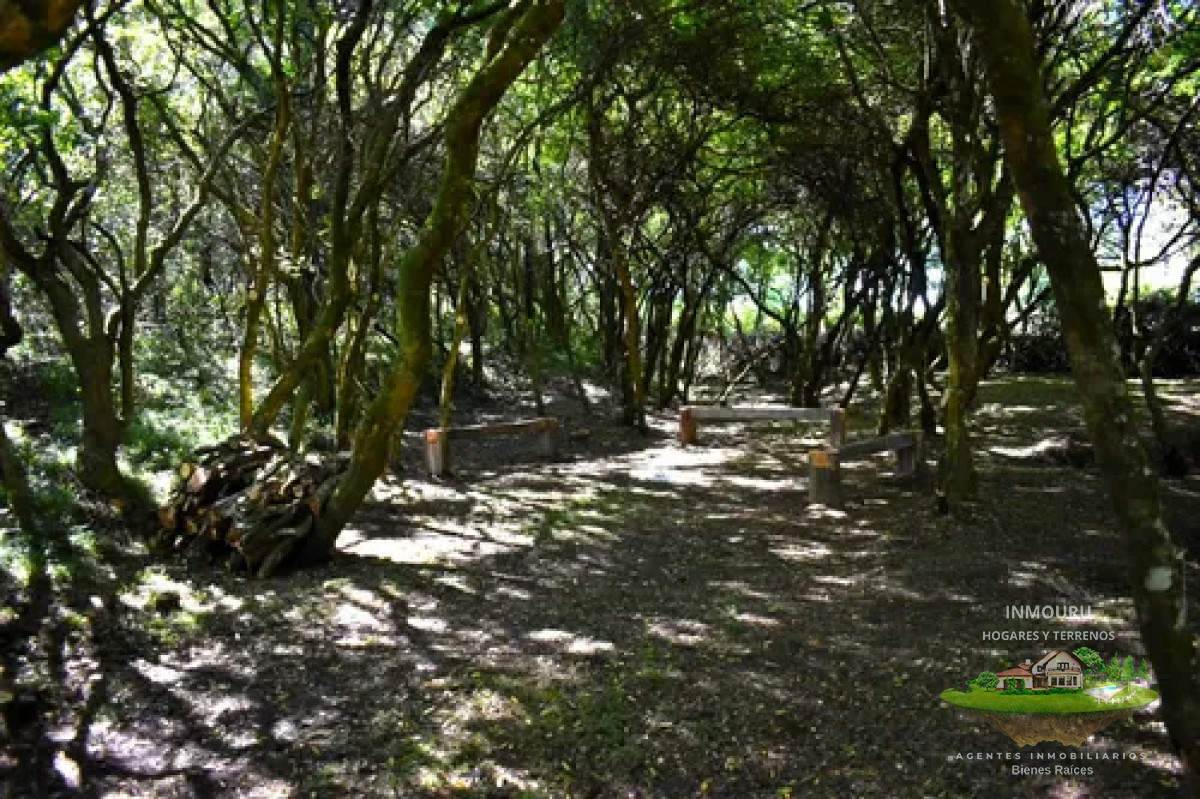 Chacra ID.1287 - Venta de chacra en Pueblo Edén