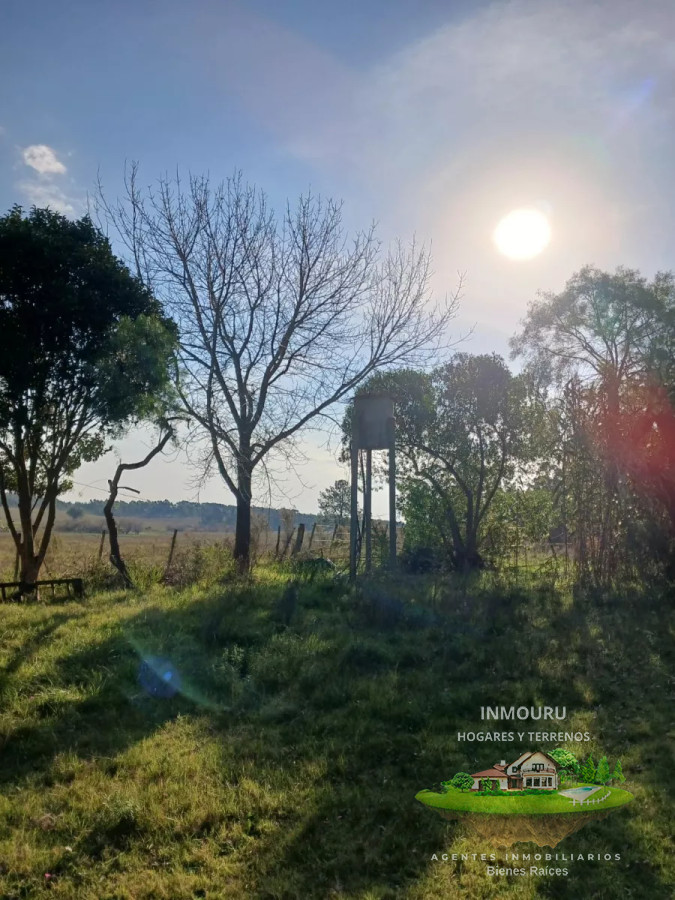 Chacra ID.477 - Se vende chacra con 2 casas y galpones, Migues, Canelones