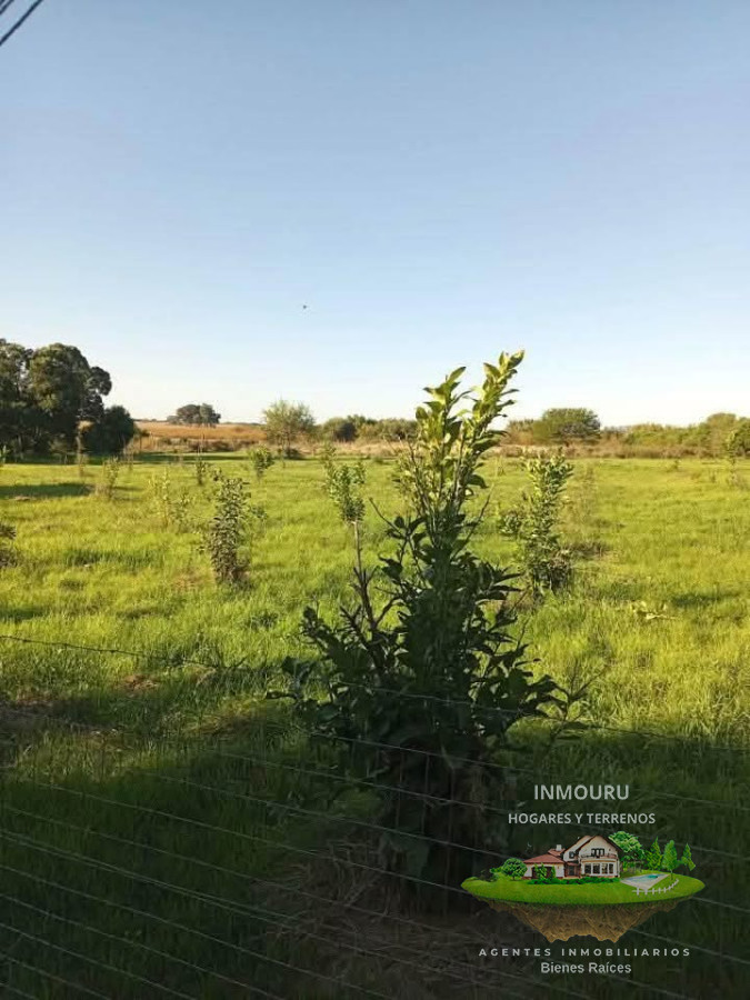 Chacra ID.909 - Venta de chacra el Colonia 