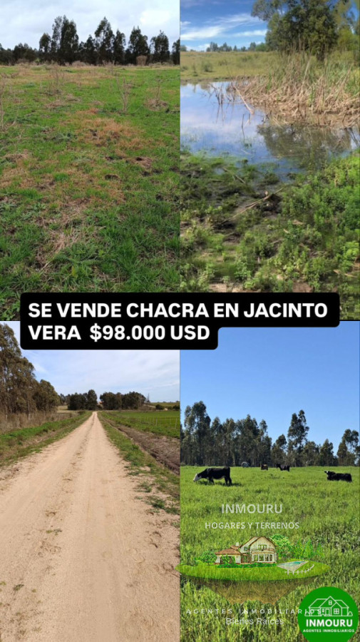 Chacra ID.2419 - Se Vende chacra en San Jacinto