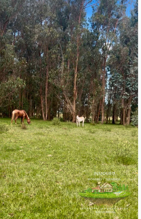 Chacra ID.2081 - Venr de chacra marìtima