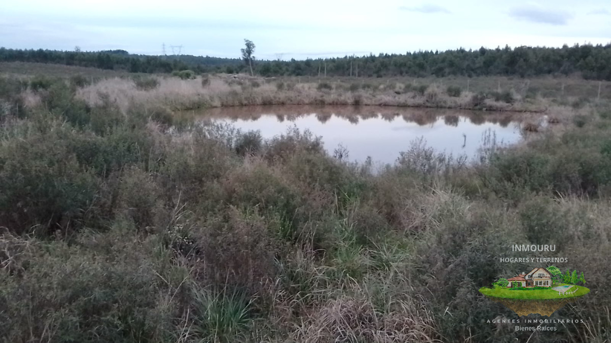 Chacra ID.2166 - Venta chacra de 3 Has