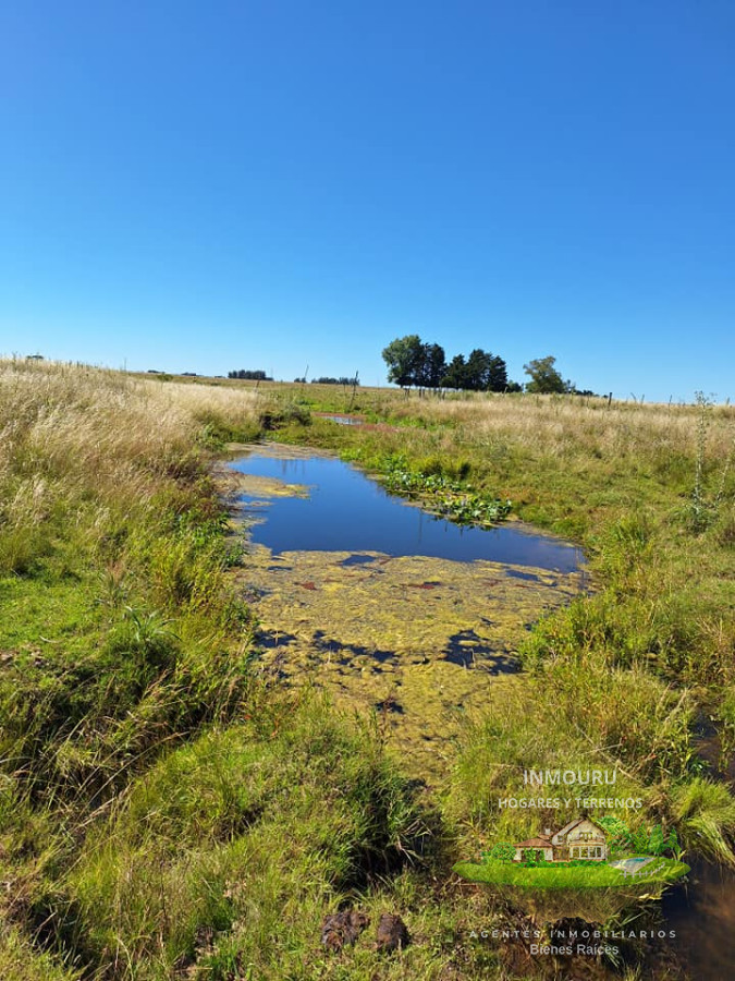 Chacra ID.180 - VENTA de campo en MINAS (Lavalleja)
