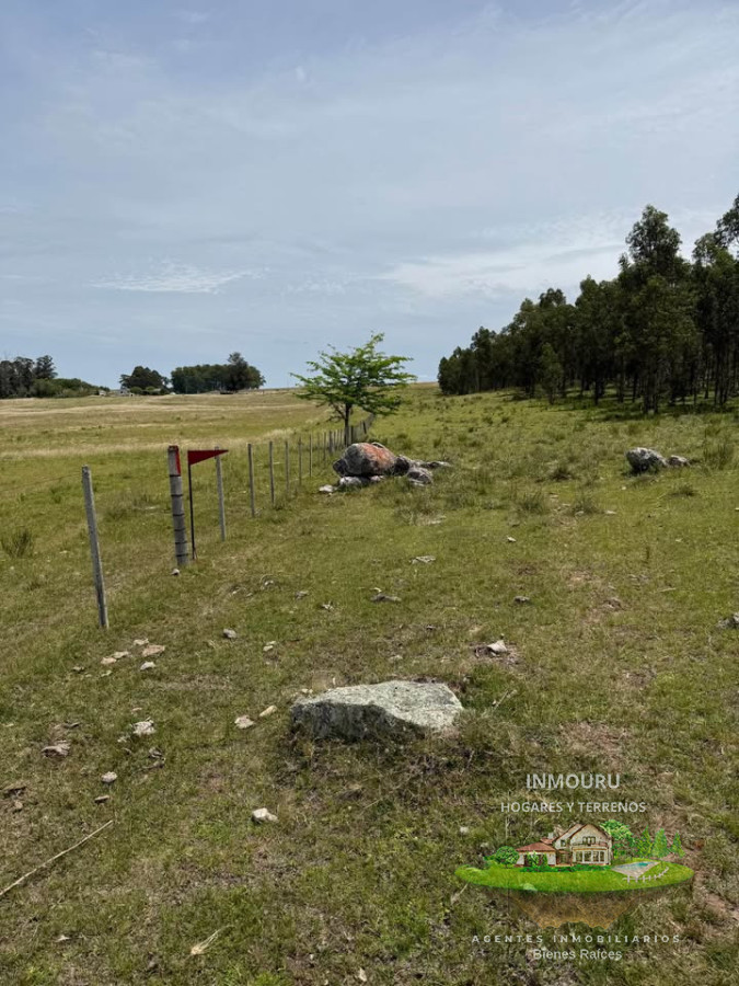 Chacra ID.2600 - Venta de 9 chacras 