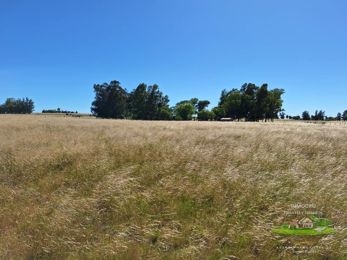 Chacra ID.180 - VENTA de campo en MINAS (Lavalleja)