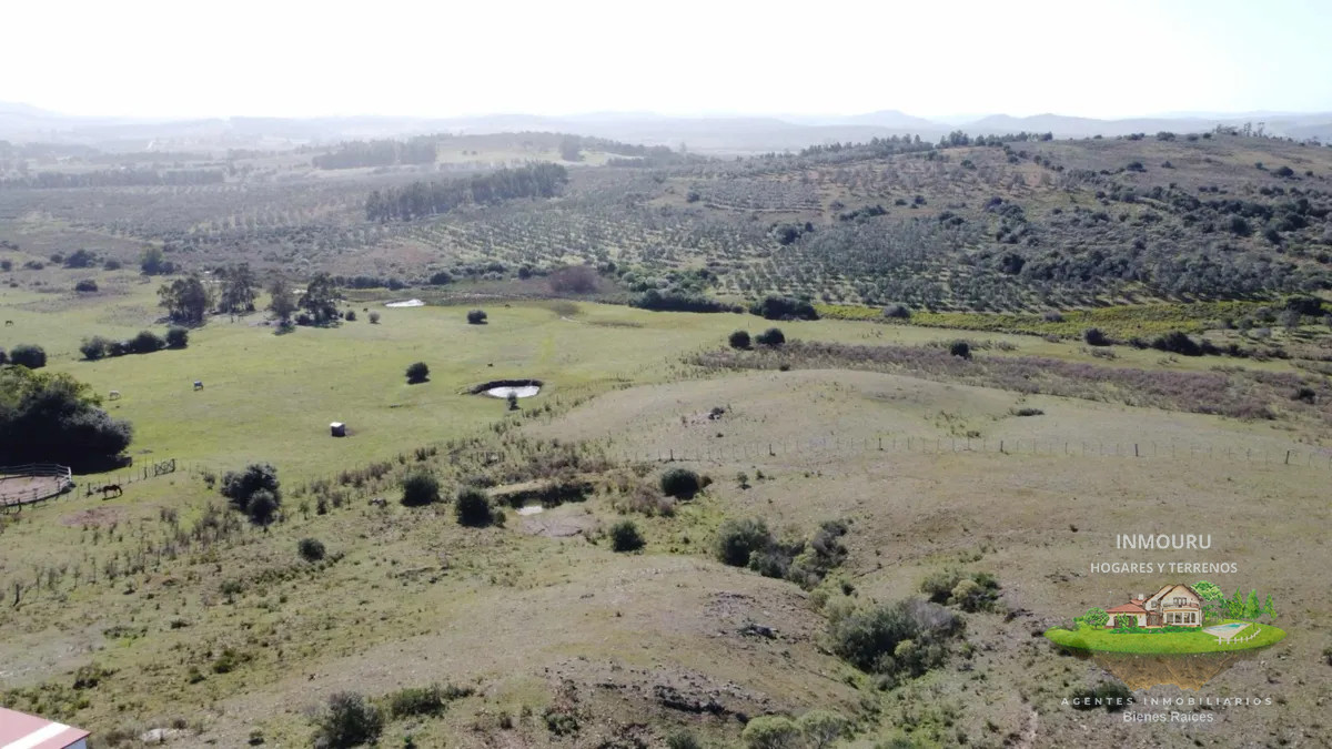 Chacra ID.838 - VENTA de hermosa chacra en LAVALLEJA (Minas)