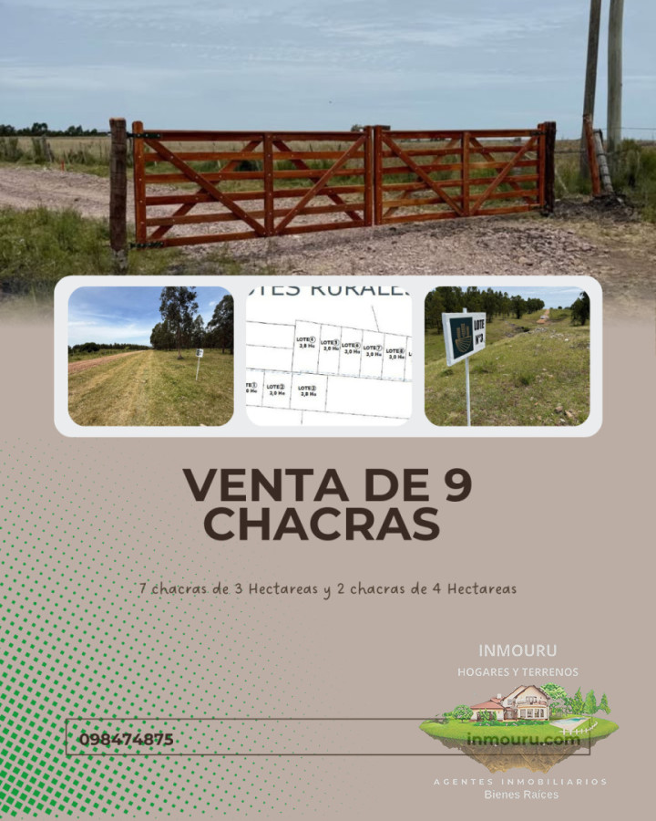 Chacra ID.2600 - Venta de 9 chacras 