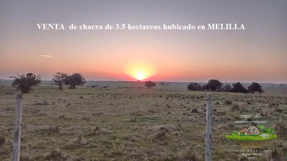 Chacra ID.410 - VENTA de chacra de 3.4 hectáreas en MELILLA 