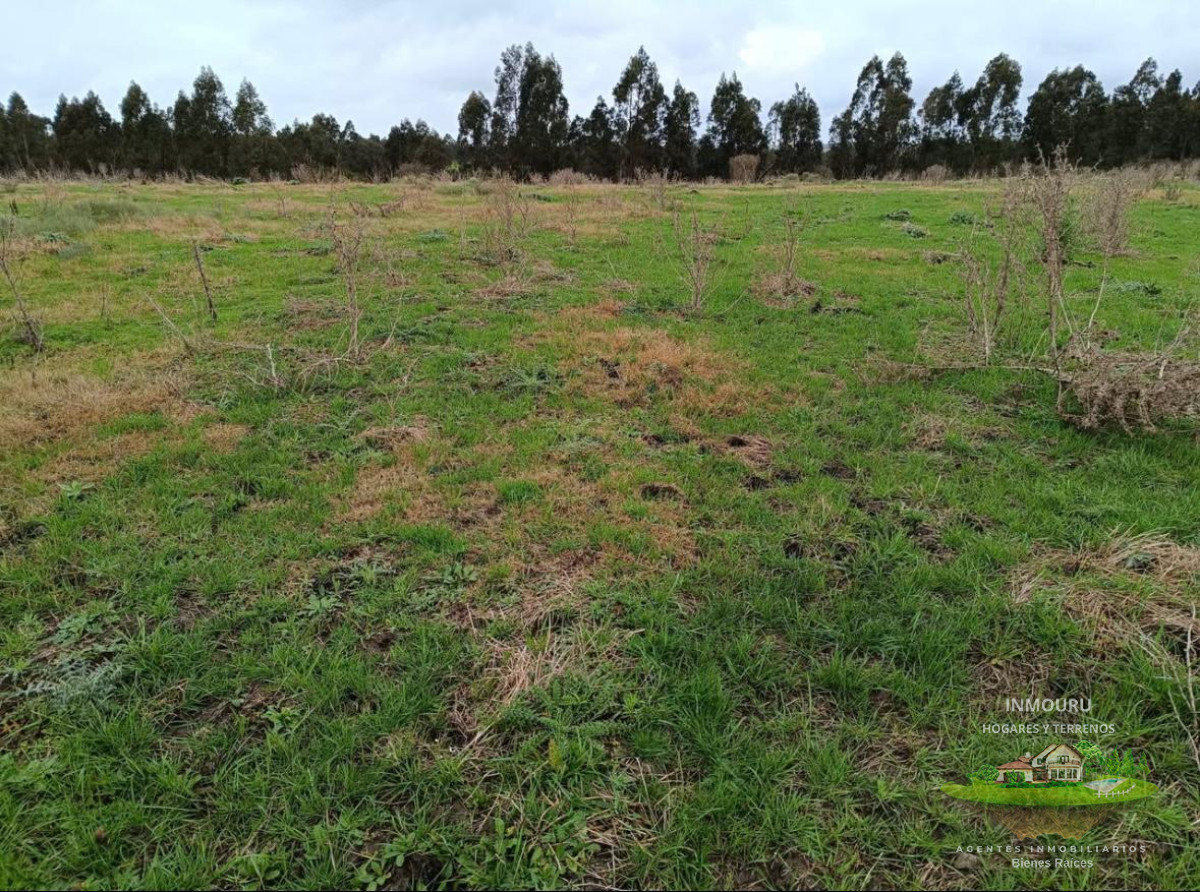 Chacra ID.2419 - Se Vende chacra en San Jacinto