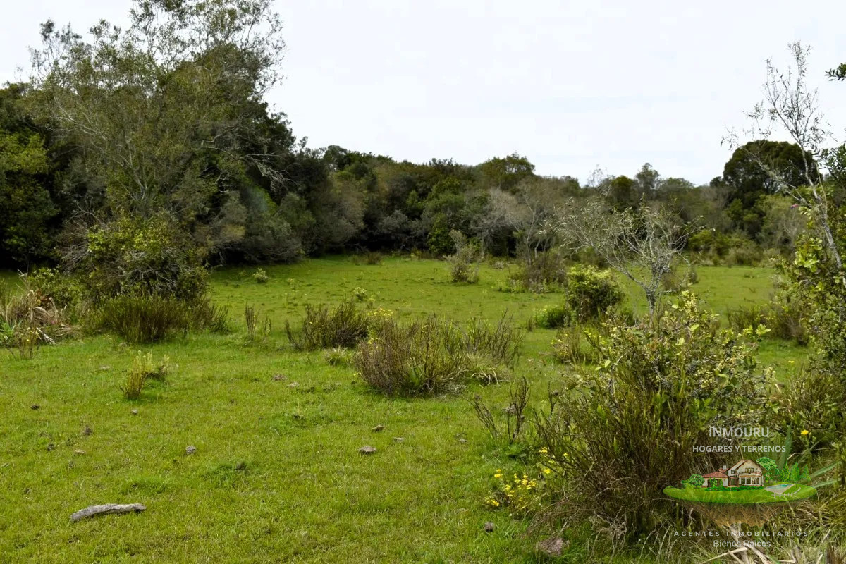 Chacra ID.1287 - Venta de chacra en Pueblo Edén