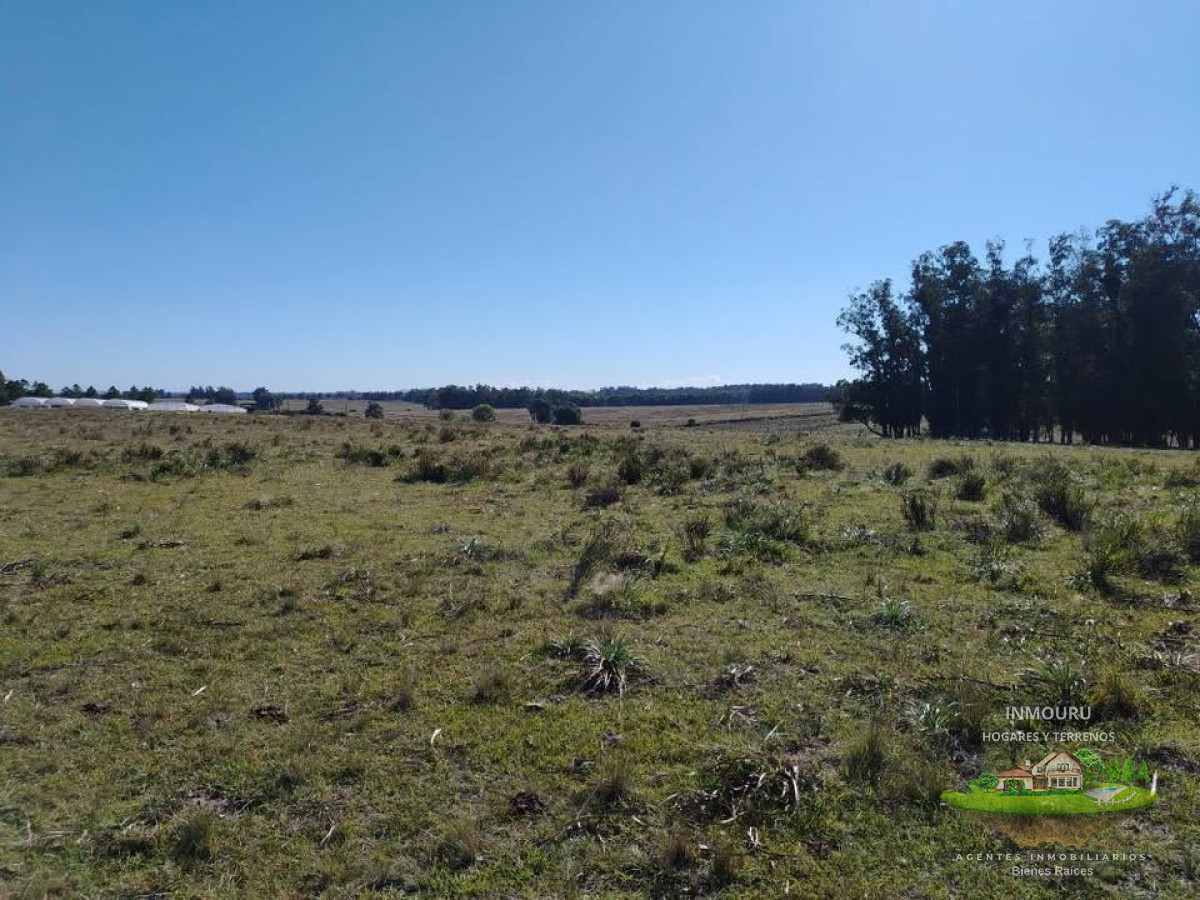 Chacra ID.1197 - Venta de chacras en inmediaciones de San Carlos, Maldonado