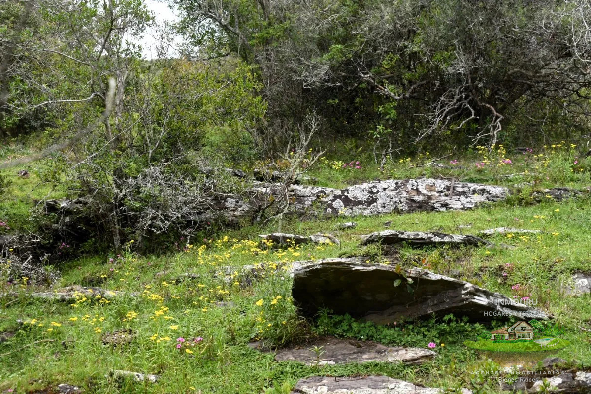 Chacra ID.1287 - Venta de chacra en Pueblo Edén