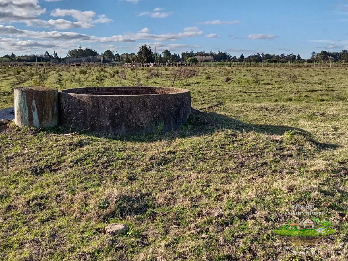 Chacra ID.1843 - VENTA de CHACRA  en CANELON CHICO
