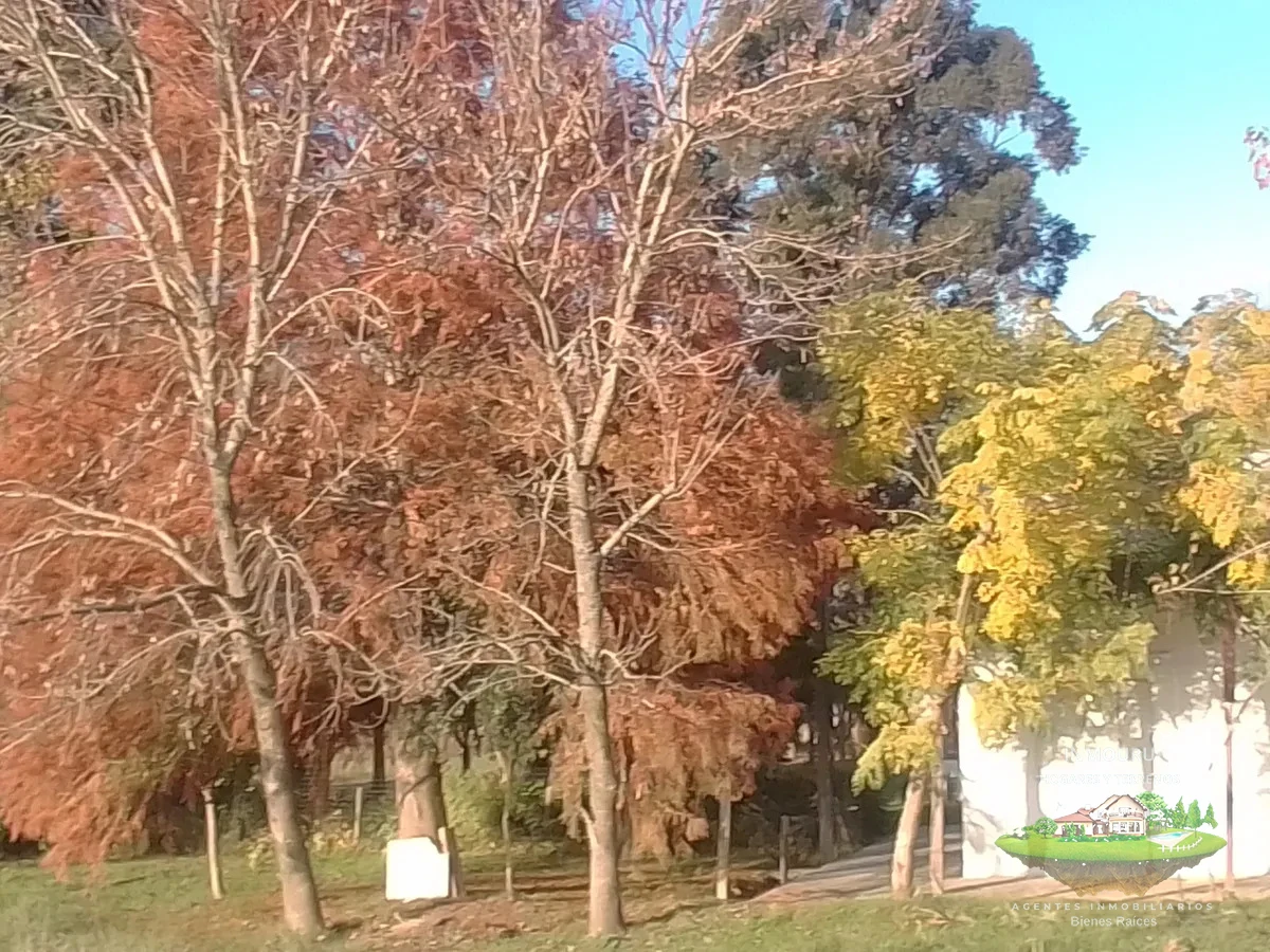 Chacra ID.2197 - VENTA de chacra de 5 Hectáreas en CANELON CHICO