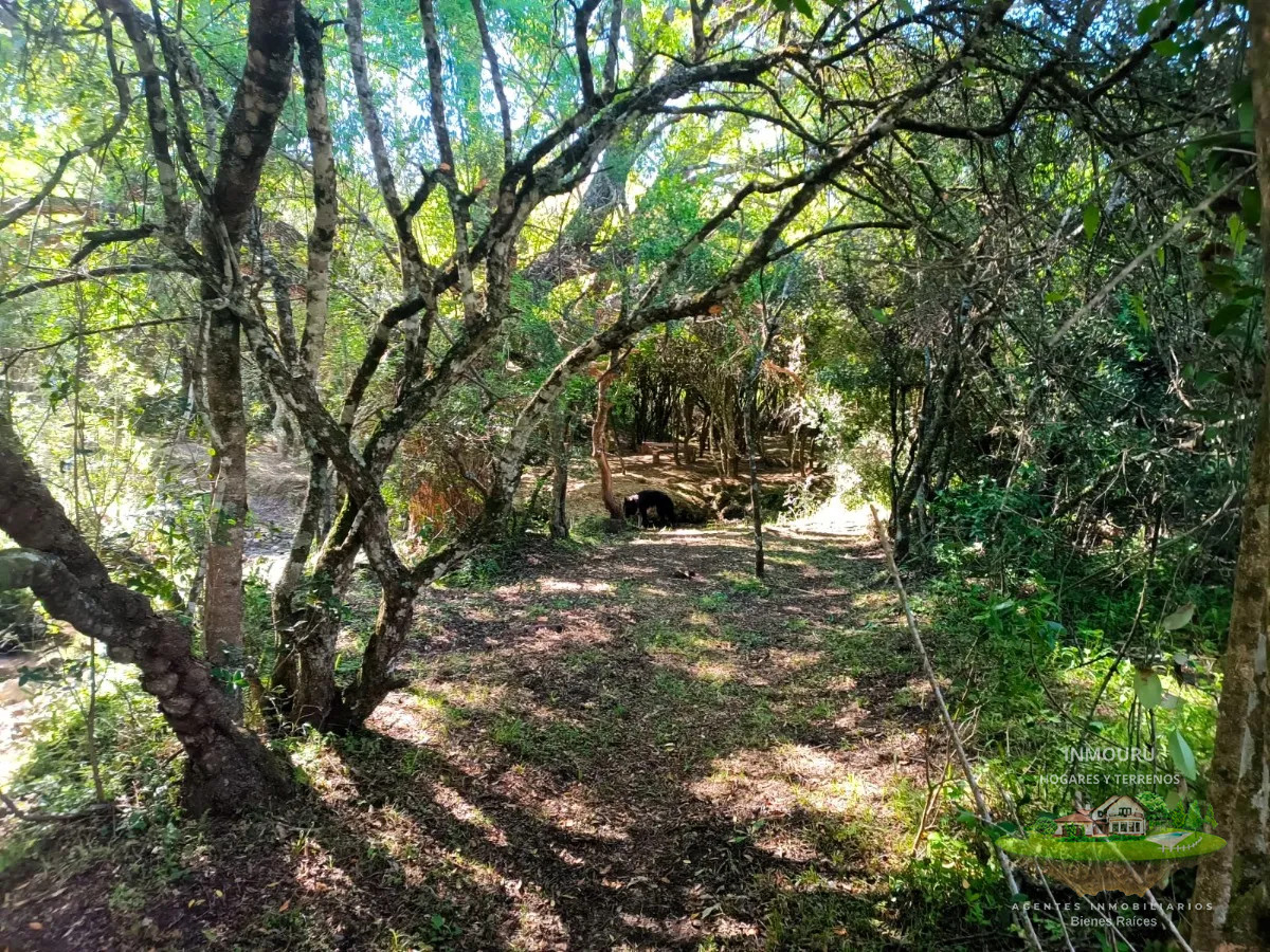 Chacra ID.1287 - Venta de chacra en Pueblo Edén