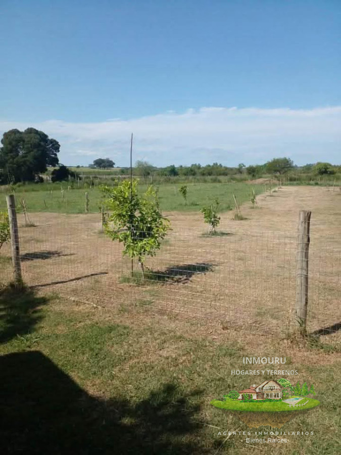 Chacra ID.909 - Venta de chacra el Colonia 