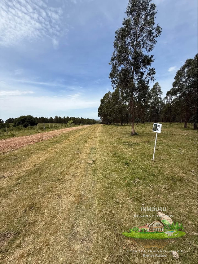 Chacra ID.2600 - Venta de 9 chacras 