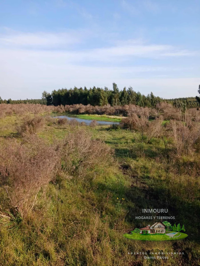 Chacra ID.477 - Se vende chacra con 2 casas y galpones, Migues, Canelones