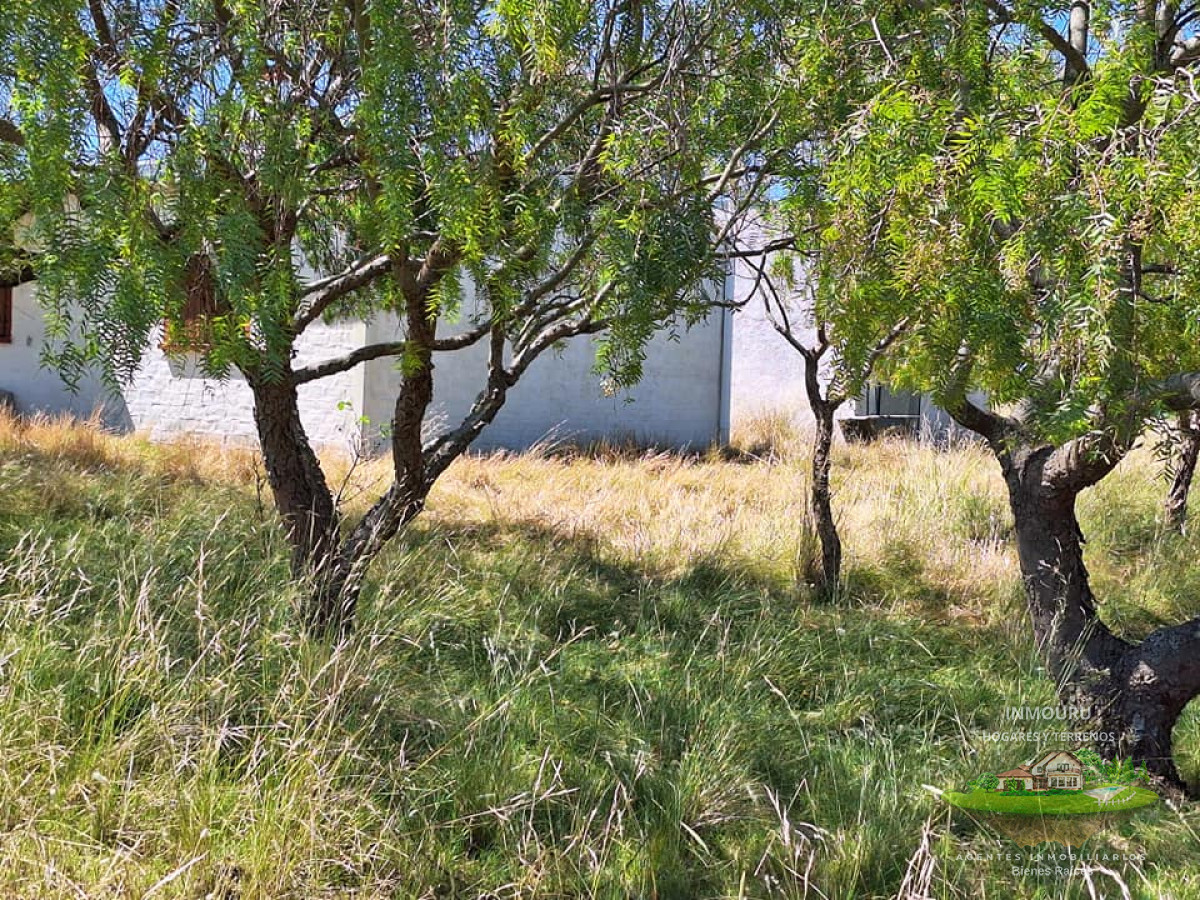 Chacra ID.180 - VENTA de campo en MINAS (Lavalleja)