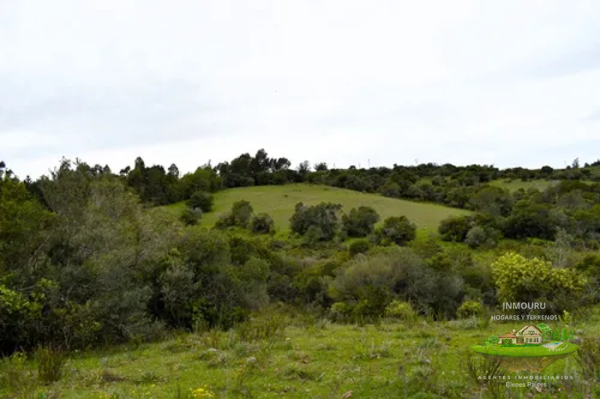 Chacra ID.1287 - Venta de chacra en Pueblo Edén