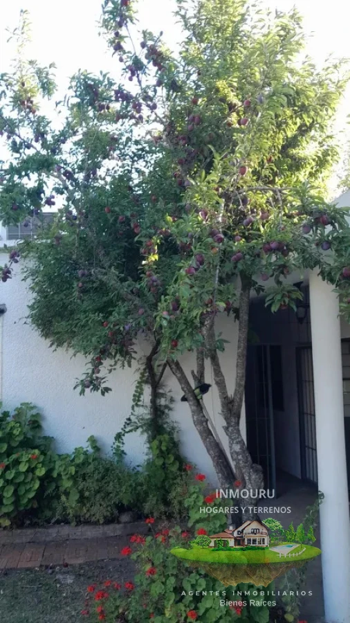 Chacra ID.2197 - VENTA de chacra de 5 Hectáreas en CANELON CHICO