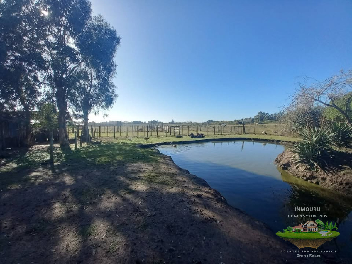 Chacra ID.2167 - Venta de 4 Has en Las Brujas 