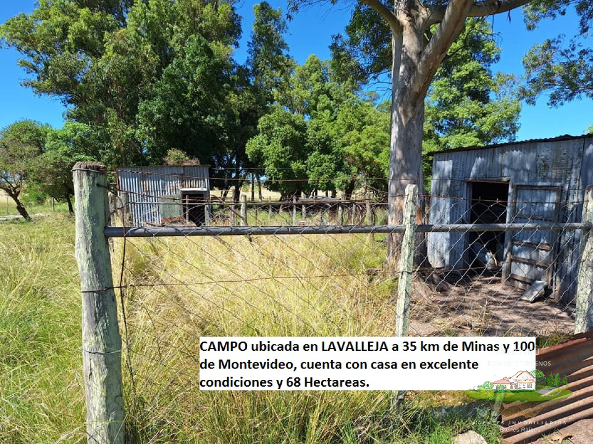 Chacra ID.180 - VENTA de campo en MINAS (Lavalleja)