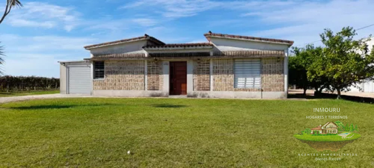Chacra ID.1841 - VENTA de VIÑEDO Y CASAS con BODEGA en TOLEDO CHICO