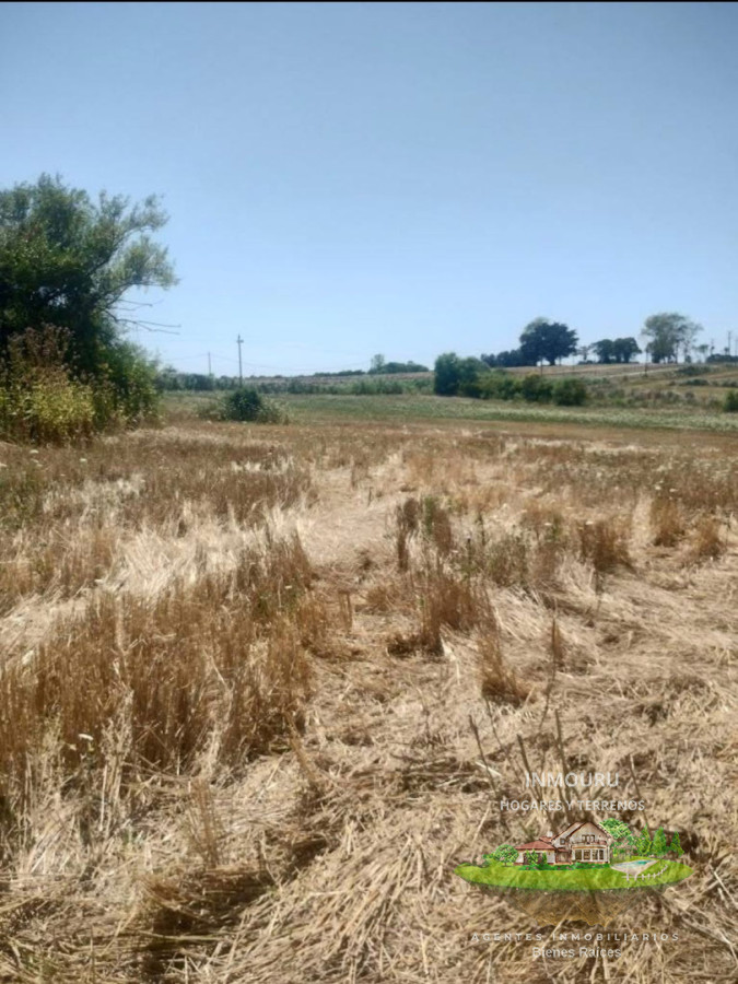 Chacra ID.2520 - SE VENDE CHACRA EN ZONA CANELONES- PROGRESO