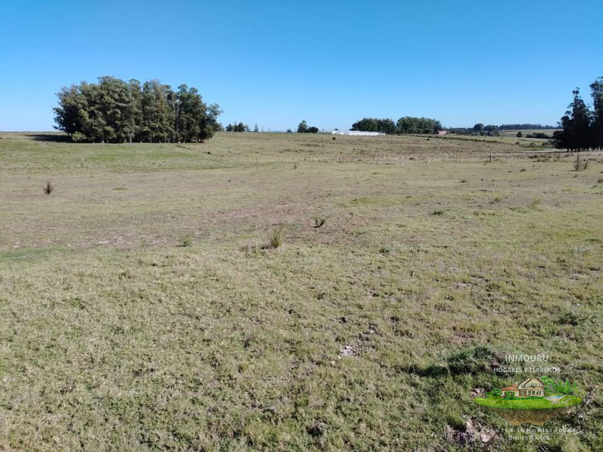 Chacra ID.1197 - Venta de chacras en inmediaciones de San Carlos, Maldonado