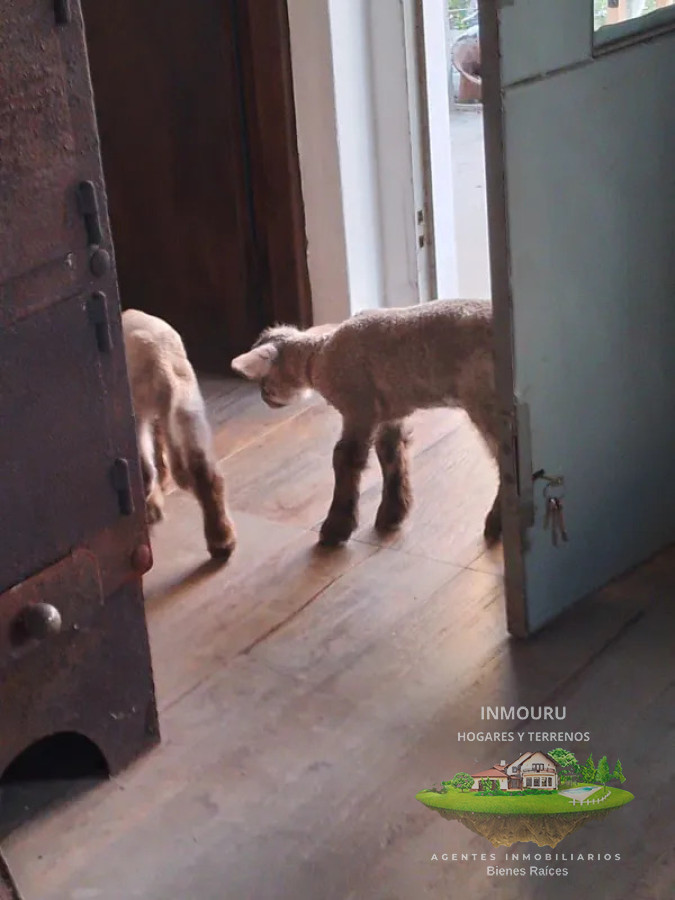 Chacra ID.2431 - VENTA de chacra en PROGRESO