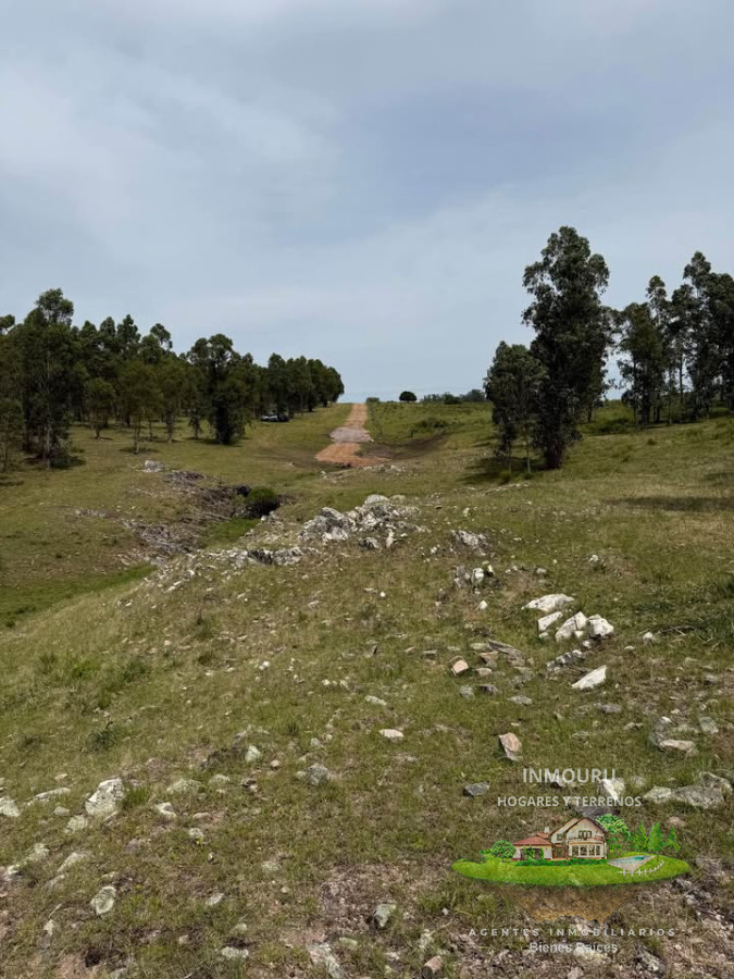 Chacra ID.2600 - Venta de 9 chacras 