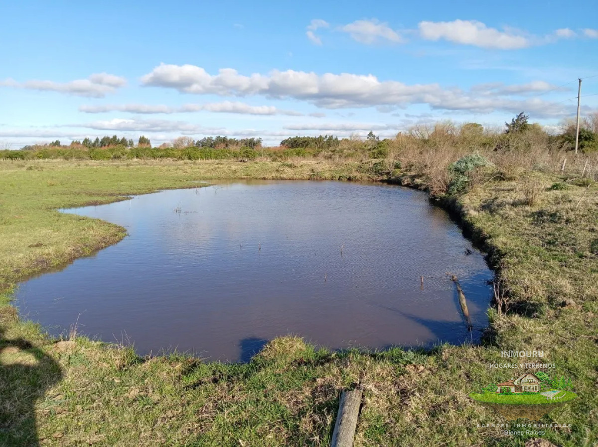 Chacra ID.1843 - VENTA de CHACRA  en CANELON CHICO