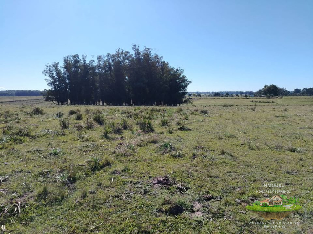 Chacra ID.1197 - Venta de chacras en inmediaciones de San Carlos, Maldonado