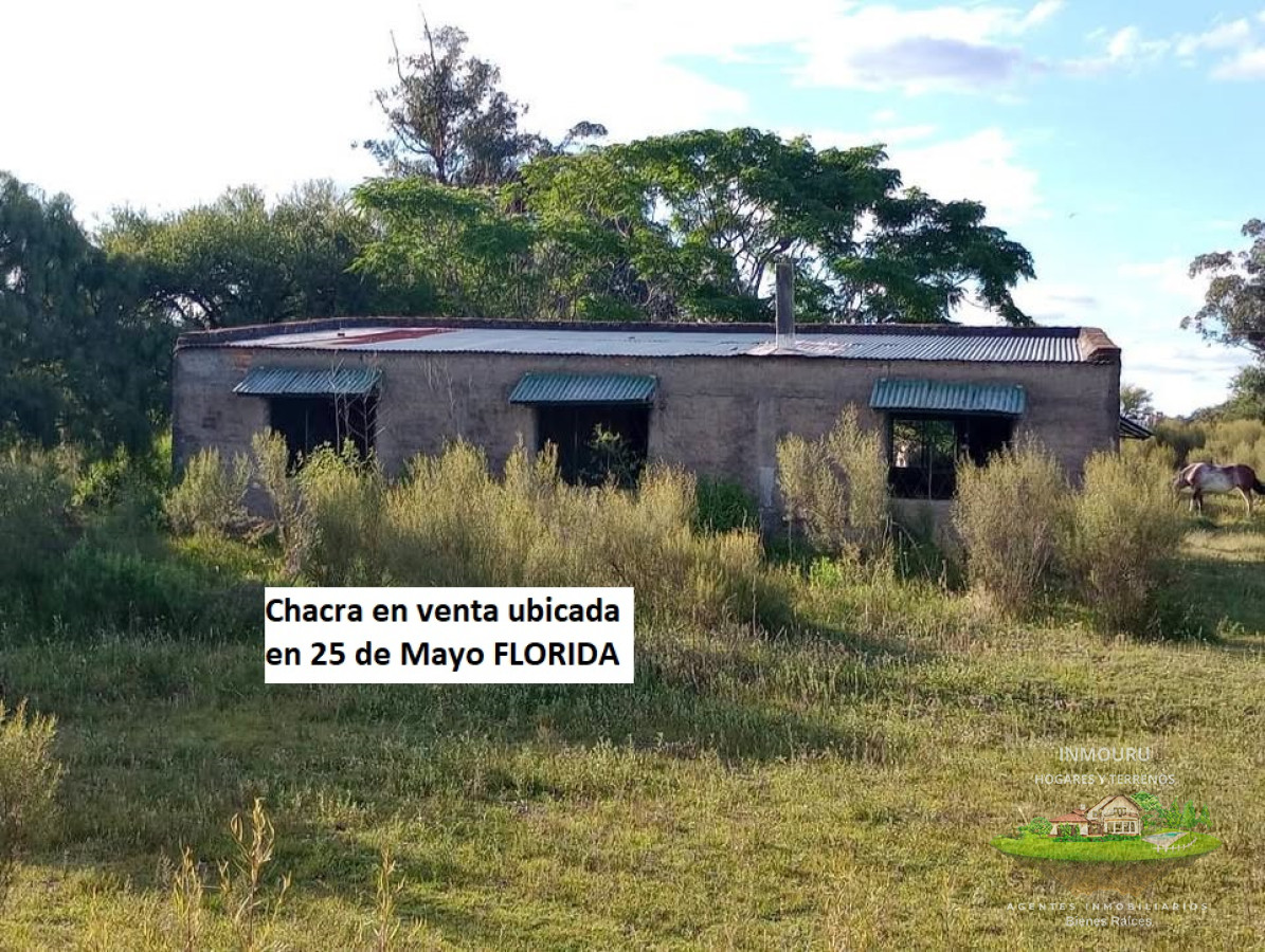 Chacra ID.213 - CHACRA en VENTA ubicada en 25 de Mayo FLORIDA