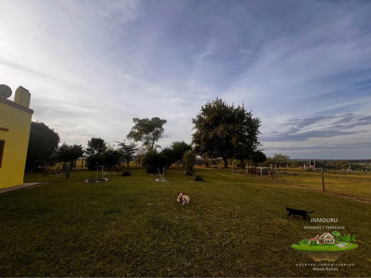 Chacra ID.2018 - Venta de Chacra en Batoví, Tacuarembó
