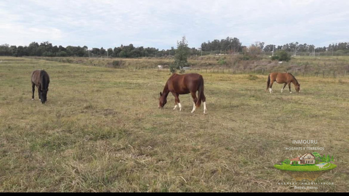 Chacra ID.2903 - Se Alquila Chacra Proximo a La Tahona