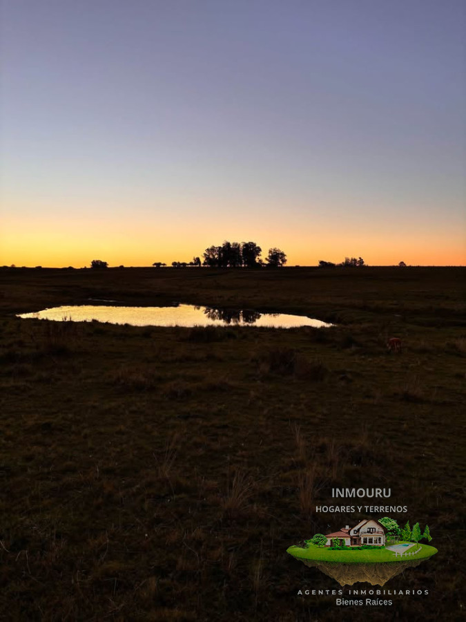 Chacra ID.1251 - Se vende chacra de 21 hectáreas en zona José Ignacio, Maldonado